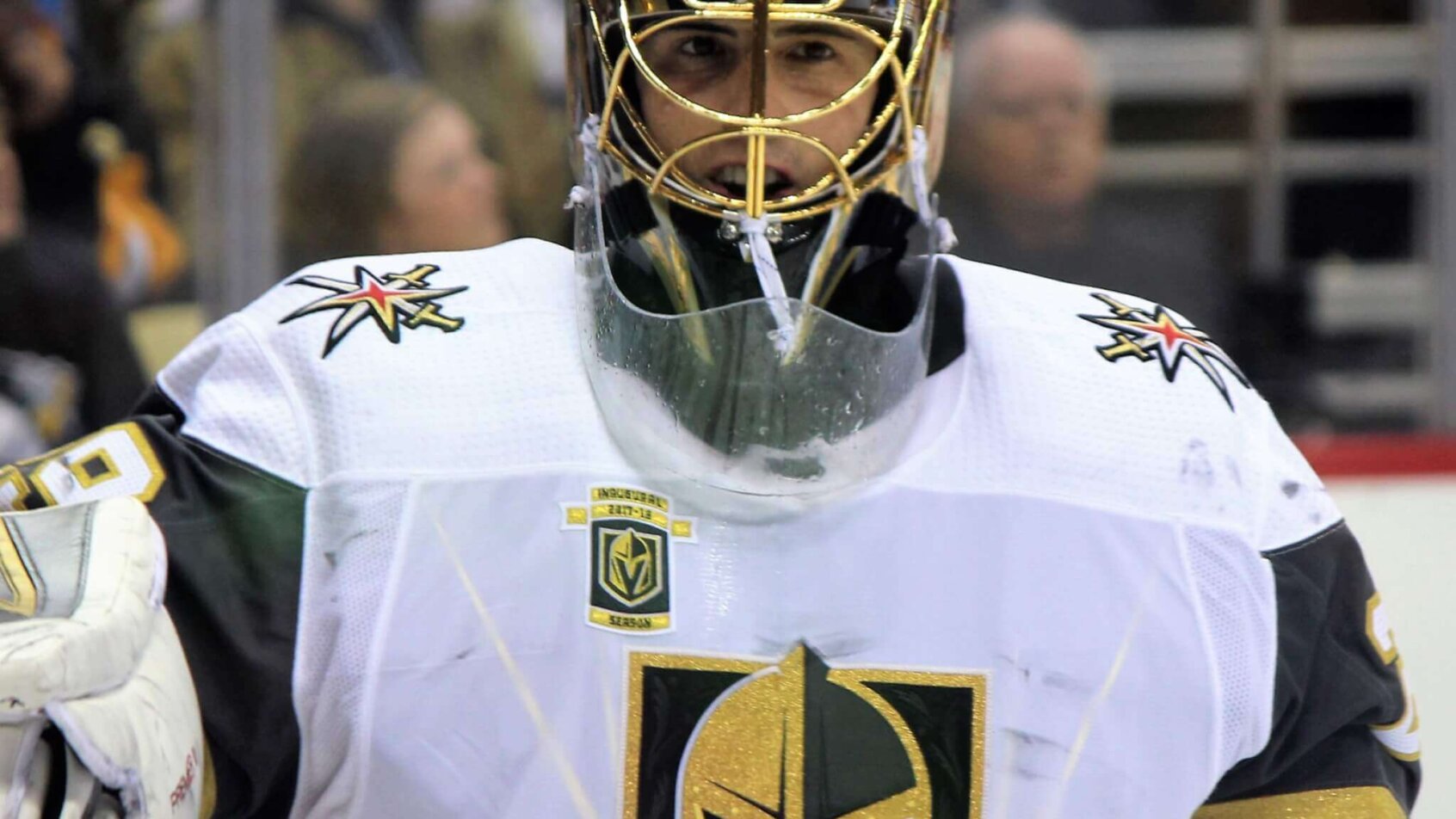 Marc-Andre Fleury