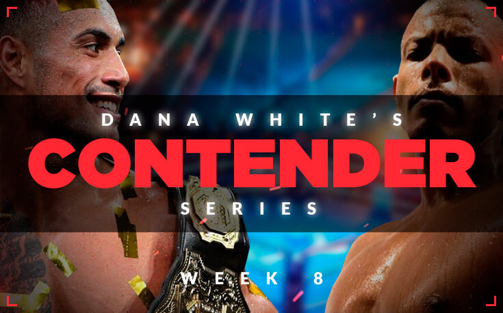 DWCS Week 8